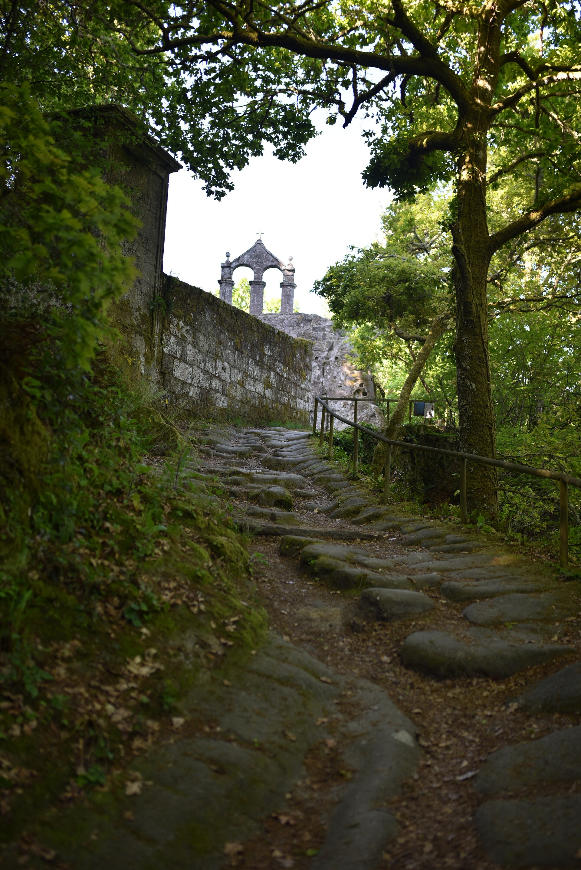Stone path through the wooded landscape of San Pedro de Rocas