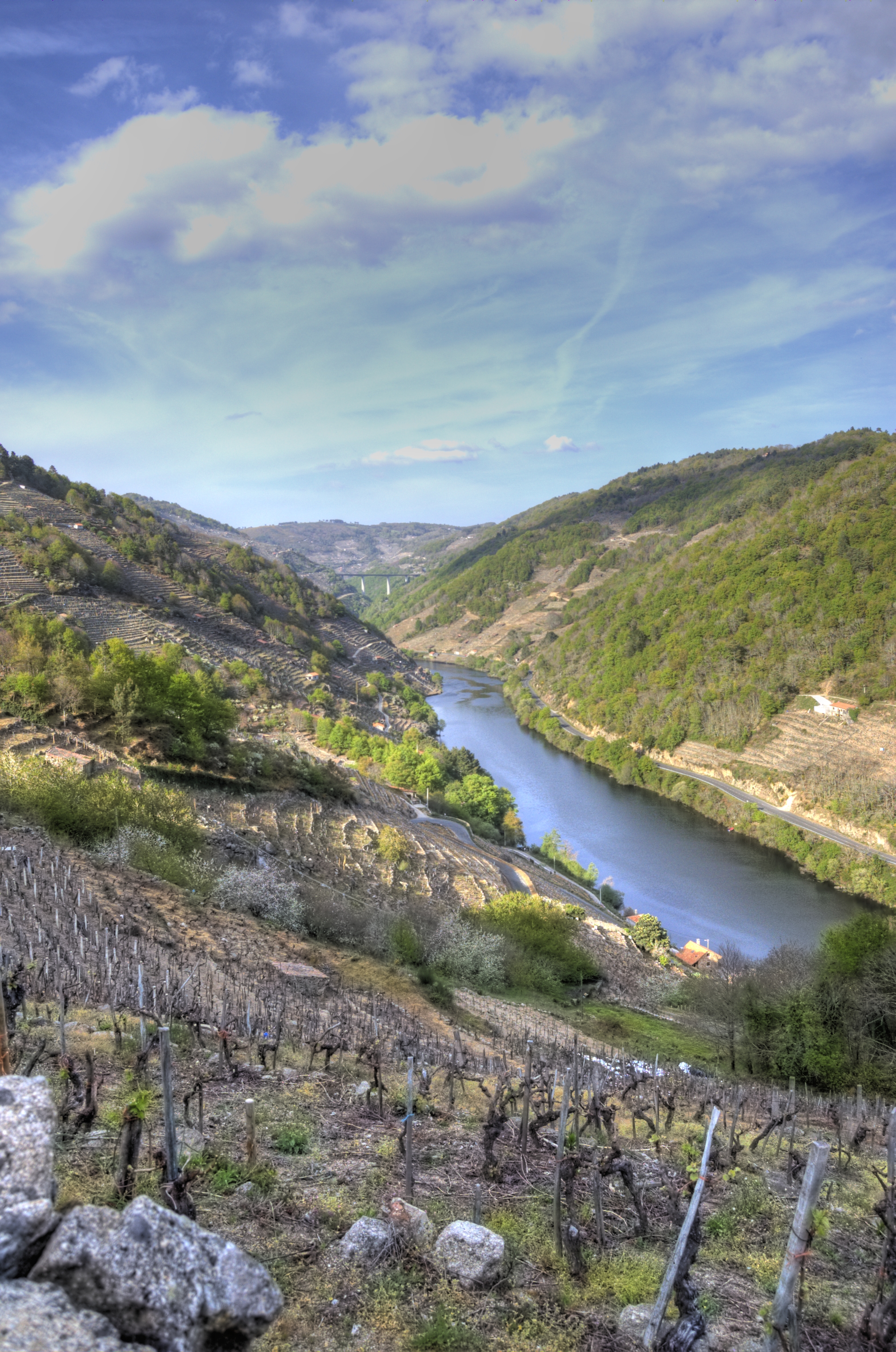 Terraced wine landscape of the Ribeira Sacra, shown as regional context